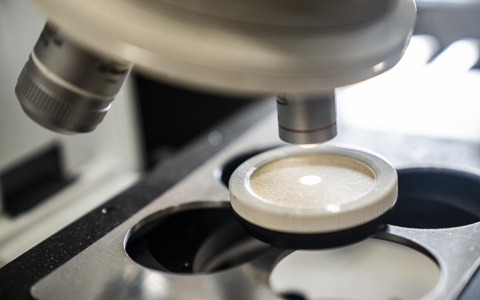 analisi-programmata-09