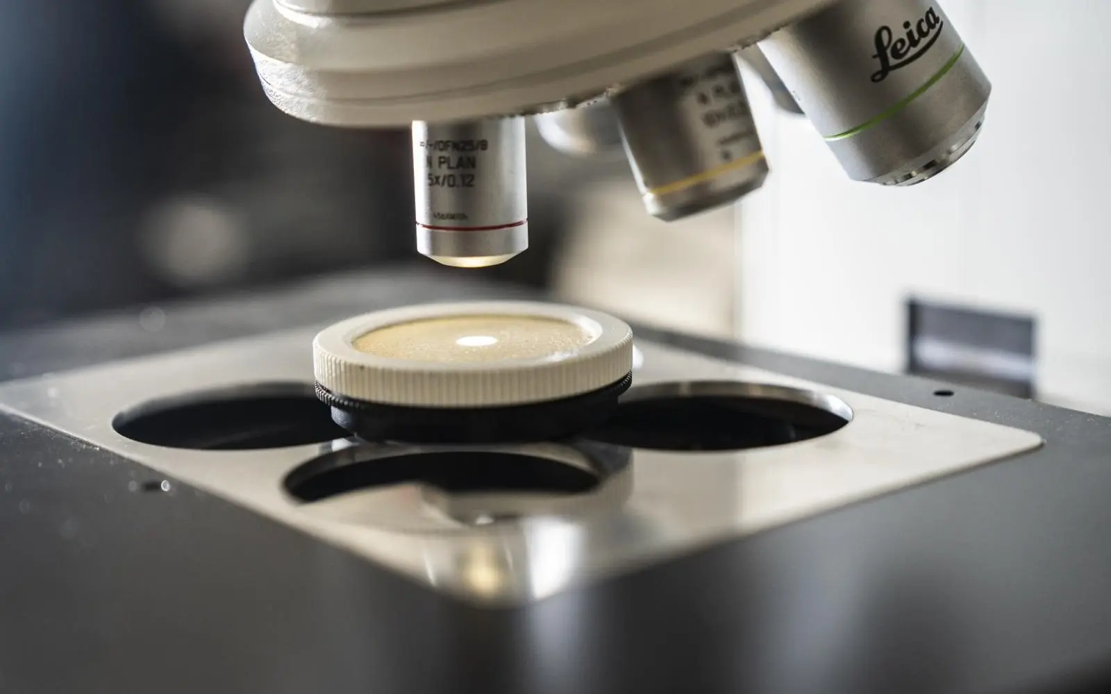 Microscopio di tecnologia avanzata per analisi scientifiche, Gatti Filtrazioni Lubrificanti.